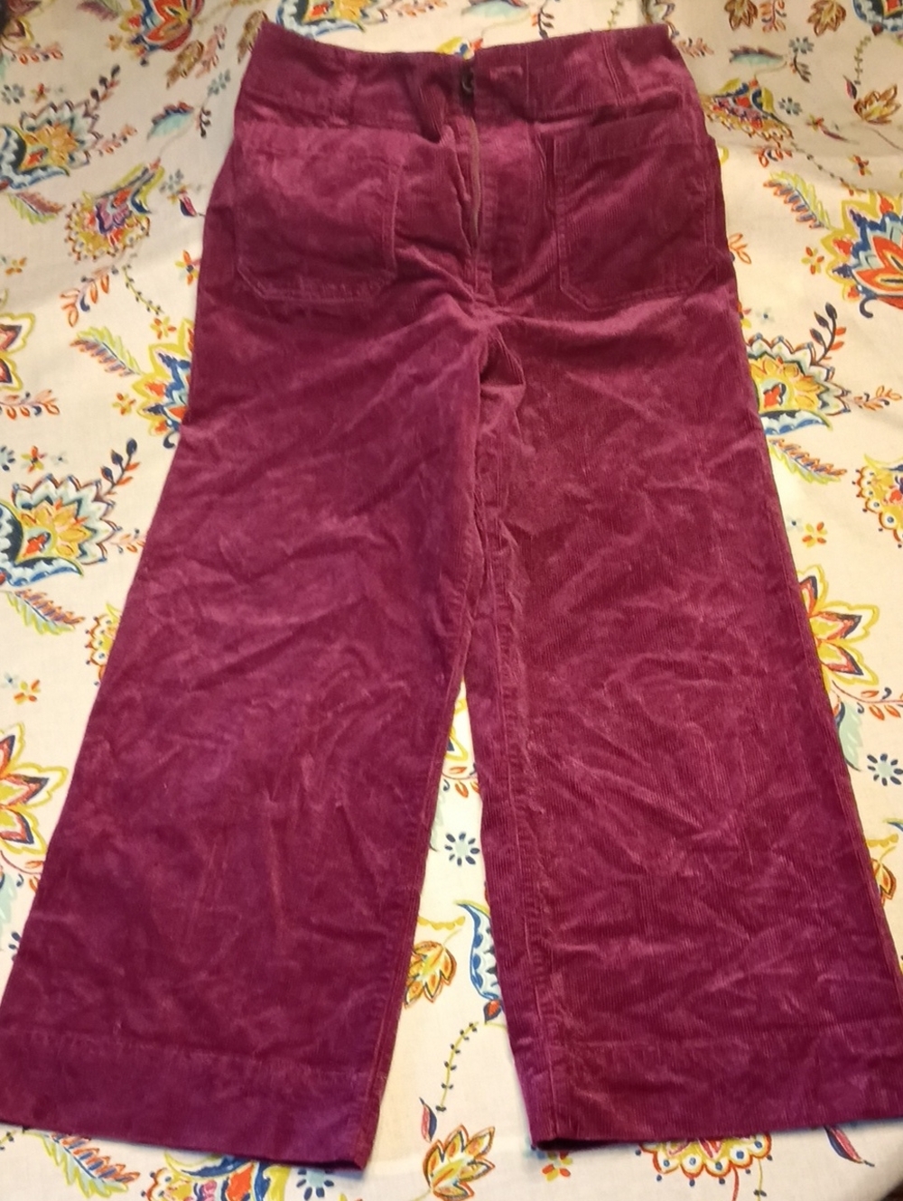 Anthropologie Sz30 Corduroy Pants